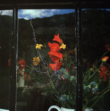 Load image into Gallery viewer, Flowers in the Window #2 | Lottie Hampson | Photography | Partnership Editions