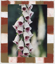 Load image into Gallery viewer, Foxgloves with border I