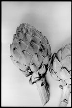 Load image into Gallery viewer, Globe Artichoke Framed (Framed)