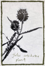 Load image into Gallery viewer, Globe Artichoke Plant | Lottie Hampson | Original Artwork | Partnership Editions