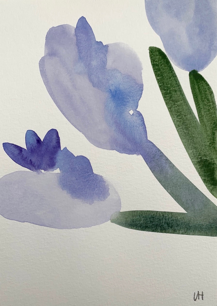 Hyacinth VII
