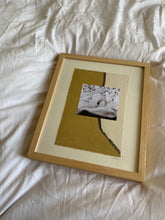 Load image into Gallery viewer, Swan Collage III (Framed)