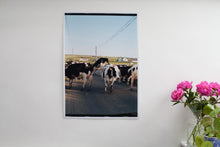 Load image into Gallery viewer, The Precious Stone | The Cows, Ireland