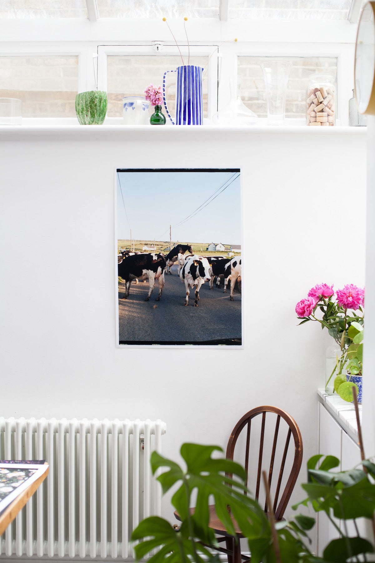 The Cows, Ireland | Partnership Editions