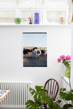 Load image into Gallery viewer, The Cows, Ireland | Partnership Editions
