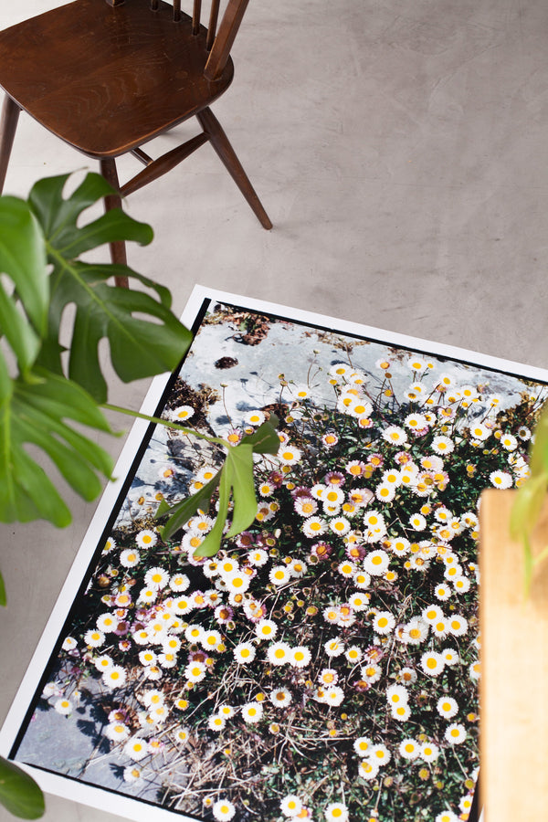 Limited Edition Photography | the Precious Stone