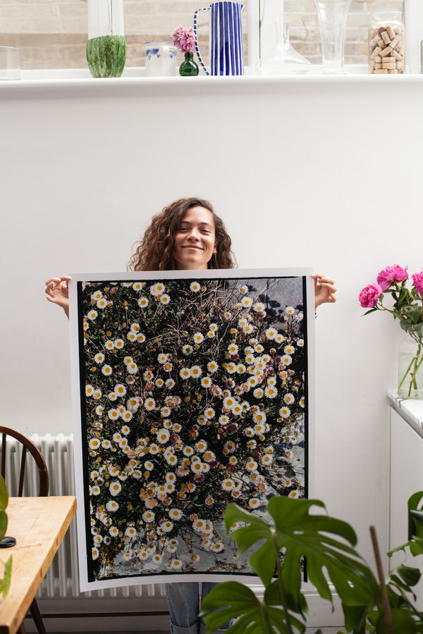 Botanical Art | Photography