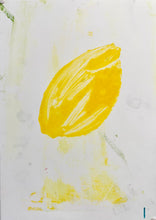 Load image into Gallery viewer, Lemon I | Jonathan Schofield | Original Artwork | Partnership Editions
