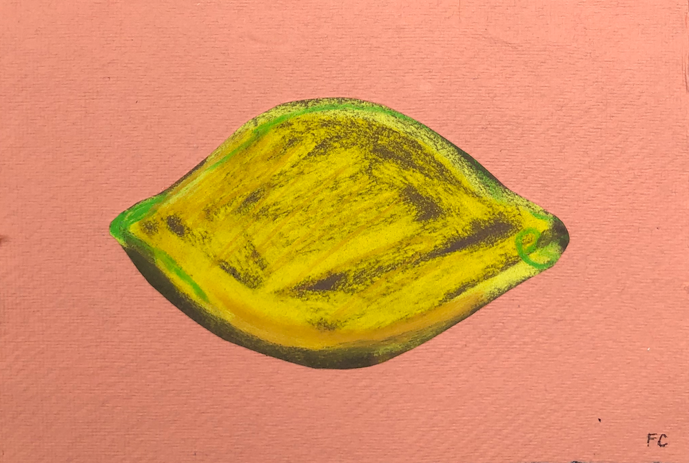 Lemon on coral pink | Frances Costelloe | Original Artwork | Partnership Editions