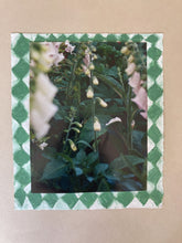 Load image into Gallery viewer, Foxgloves with border II