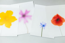 Load image into Gallery viewer, Purple Star