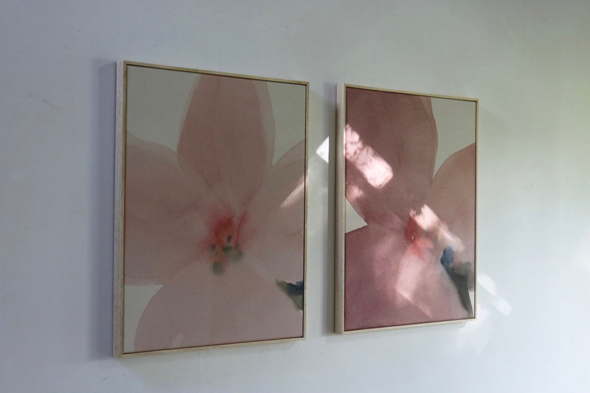 May Flower (Framed)
