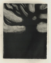 Load image into Gallery viewer, Midnight Oak | Josephine Birch | Monoprint | Partnership Editions