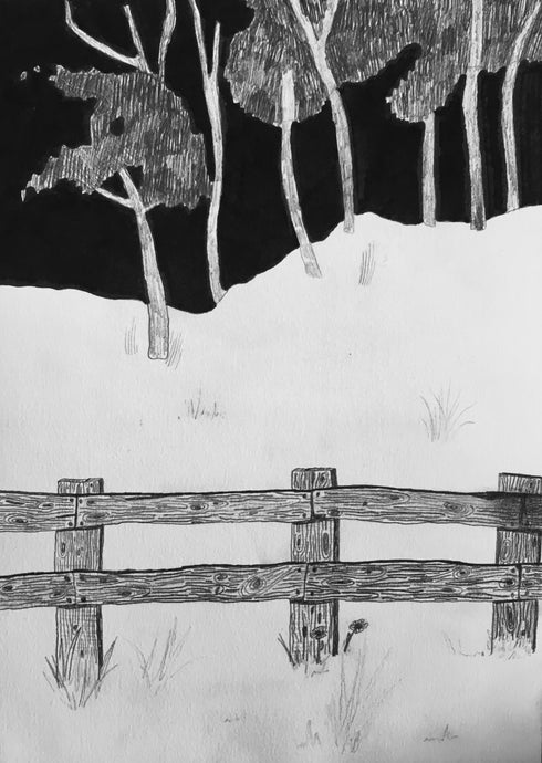 Nothing but Trees and Hills Beyond an Old Creaking Wooden Fence