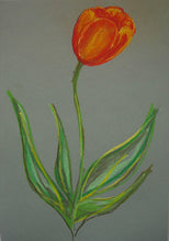 Load image into Gallery viewer, Orange Tulip