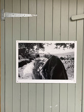 Load image into Gallery viewer, Horse In Tarfia | A Sense of Place