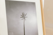 Load image into Gallery viewer, Palm Tree