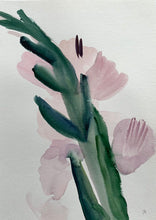Load image into Gallery viewer, Pink Gladioli