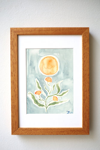 Marigolds In Winter Light Print