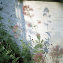 Load image into Gallery viewer, Red Valerian | Lottie Hampson | Photography | Partnership Editions