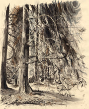 Load image into Gallery viewer, Shelter, Dartington Estate | Josephine Birch for Partnership Editions | Pen, ink and watercolour