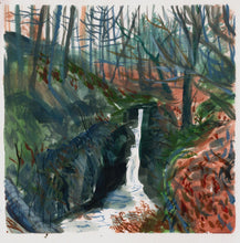 Load image into Gallery viewer, Waterfall and Leaf Litter, Hafod Estate | Josephine Birch for Partnership Editions | Watercolour artwork