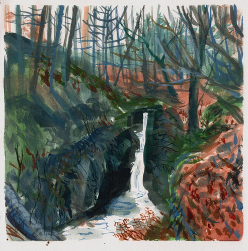 Waterfall and Leaf Litter, Hafod Estate | Josephine Birch for Partnership Editions | Watercolour artwork