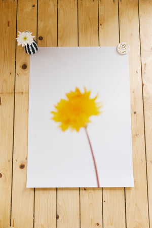 Yellow Sun