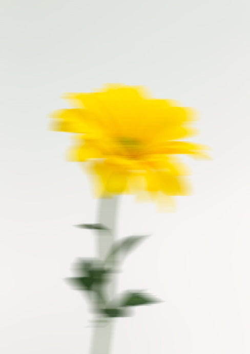 Yellow Blur