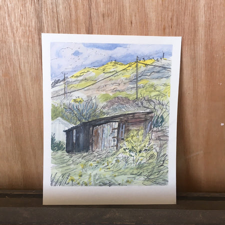 Beach Shed, Lanacombe